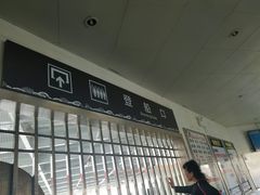 -武汉关码头(轮渡站)