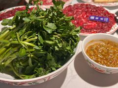 -汕头八合里海记牛肉店(清河店)