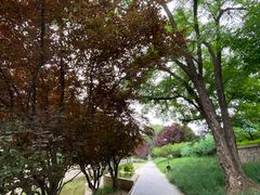 -元大都城垣遗址公园