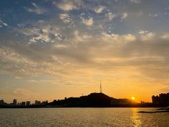 -野狸岛