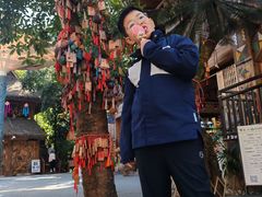 -西双版纳原始森林公园