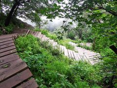 -白草畔自然风景区