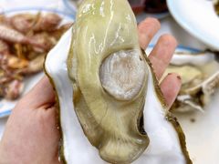 -东夷海鲜巨无霸(东夷小镇店)