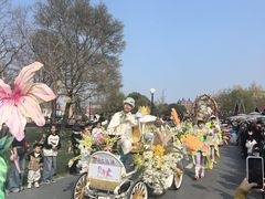 -荷兰花海