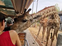 -清迈夜间动物园