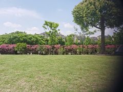 -广富林郊野公园