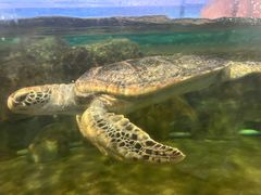 -福州罗源湾海洋世界旅游区
