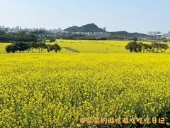 -光明小镇欢乐田园