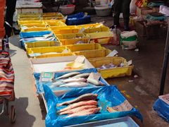 -何庄子阿米玛玛农产品批发市场