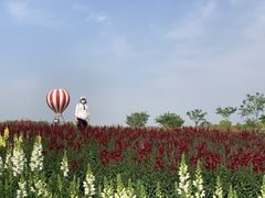 -歌斐颂巧克力小镇