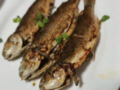 -华源餐厅·海鲜大排档(日月贝店)