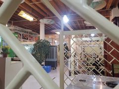 -蘑统田下·野生菌火锅