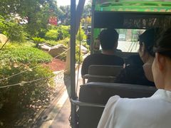 -合肥滨湖国家森林公园