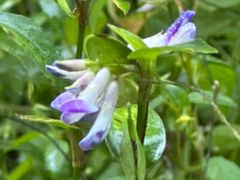 -东天目山风景区