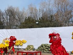 -五环公园
