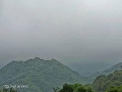 -牛背梁国家森林公园