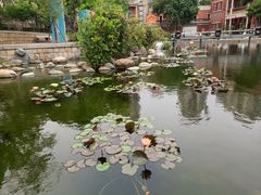 -晋江五店市传统文化旅游区