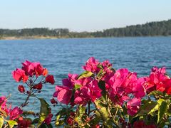 -露天矿生态公园