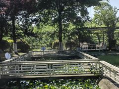 -洪湖家庭农场·团建·露营·会议