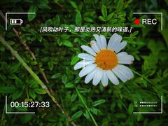 -灵山岛风景区