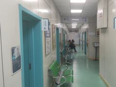 -北京观赏动物医院·24小时大型综合·猫专科·异宠专科