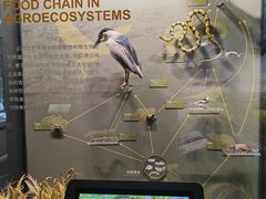 -四川大学博物馆