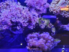 -海合安青岛极地海洋公园