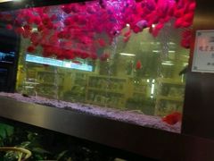 -御池园(顾村公园店)