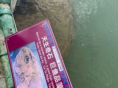 -靖西鹅泉风景区