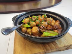 -天目馨缘