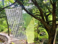 -藏龙百瀑风景区