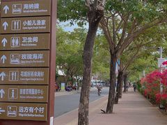 -亚龙湾国际玫瑰谷