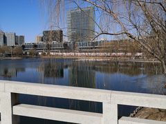 -大兴滨河森林公园