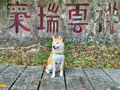 -鼓岭旅游度假区