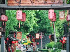 -合肥滨湖国家森林公园