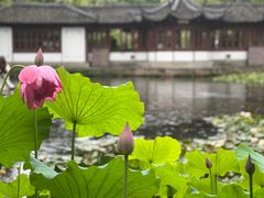 -郭庄景区