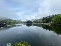 -庐山风景区花径公园