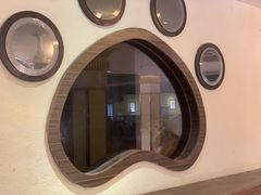 -more than meow吴止猫主题餐厅(承德 中船汇店)