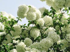-苏州上方山国家森林公园