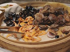 -齐河孔雀王温泉酒店·金孔雀自助百汇