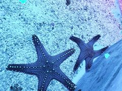-正佳极地海洋世界