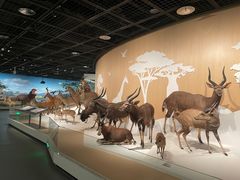 -陕西自然博物馆