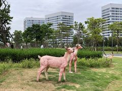 -琅岐红光湖公园