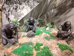 -北京周口店北京人遗址博物馆