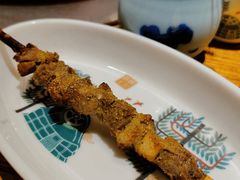 额尔敦红柳大串-额尔敦草原涮羊肉·烧烤(冻青树总店)