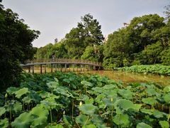 -金山公园