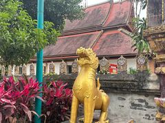 -西双版纳傣族园