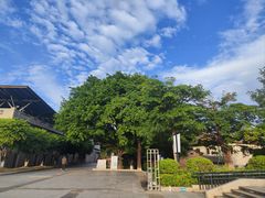 -中国客家博物馆