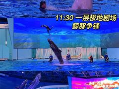 -海合安青岛极地海洋公园