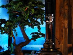 -万达广场(南宁青秀店)